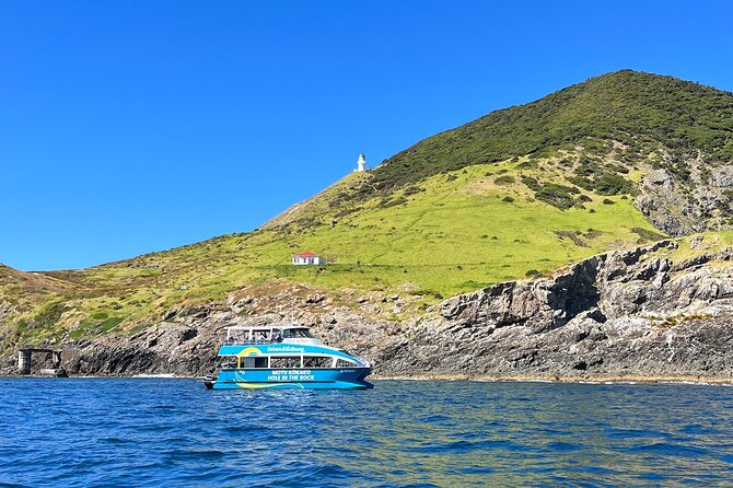Hole in the Rock Cruise & Island Tour - with two island stopovers - Checking in at Paihia Wharf