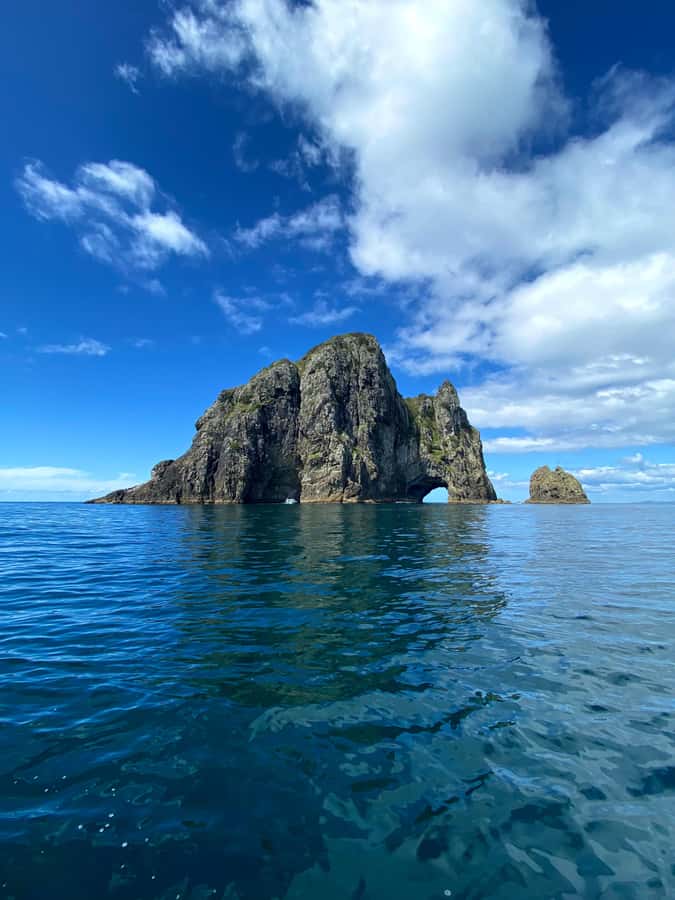 Hole in the Rock Tour & Bay of Islands Cruise - The fast boat ride through 144 islands
