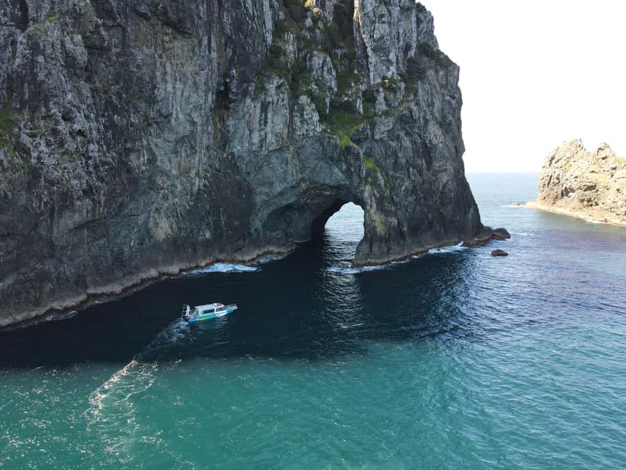 Hole in the Rock Tour & Bay of Islands Cruise - Checking in at Paihia Wharf