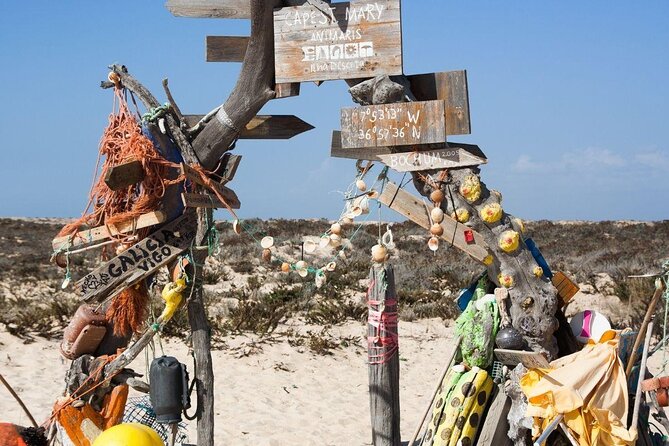 Hop On Hop Off 3 Islands: Deserta, Farol and Culatra - Key points to know before you book