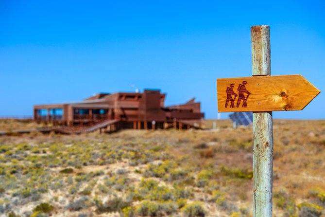 Hop On Hop Off 3 Islands: Deserta, Farol and Culatra - Culatra: the most local stop on the route