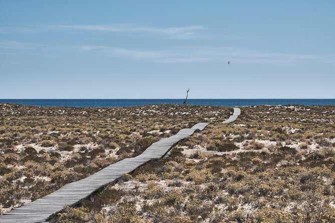 Hop On Hop Off 3 Islands: Deserta, Farol and Culatra - The small details that make the day easier