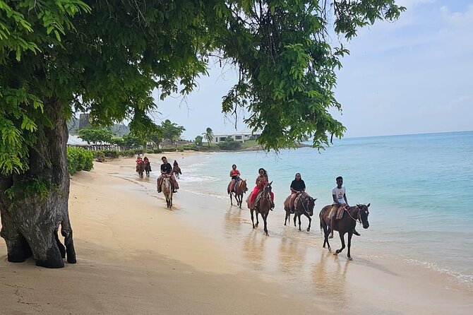 Horseback Riding at Hawksbill Beach in Five islands Antigua - The uphill route and Antigua viewpoints