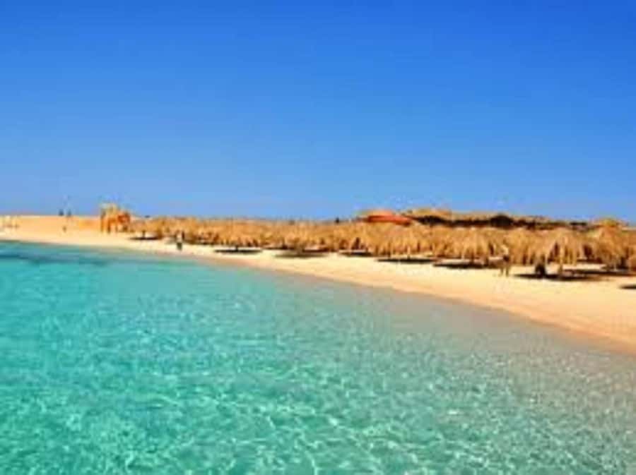 Hurghada: 3-Island Speedboat, Dolphin Watching & Snorkeling - Food, drinks, and what is really included