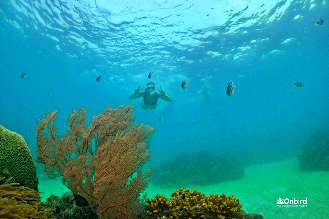 Island Chillax Hideaway: Snorkeling & Sunset BBQ [MAX 12 PAX] - Starting at 12:30 pm with hotel pickup