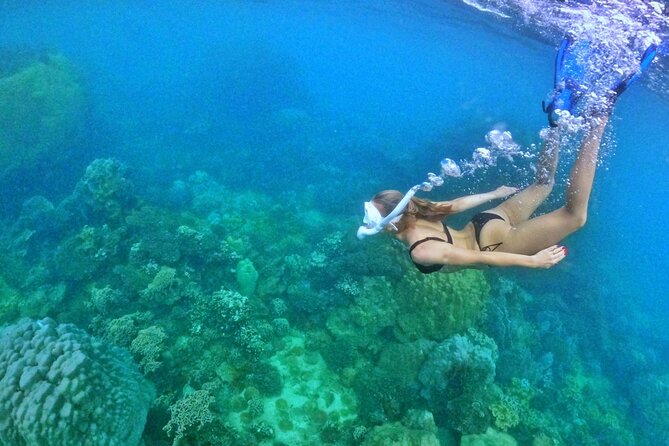 Island Chillax Hideaway: Snorkeling & Sunset BBQ [MAX 12 PAX] - Second island: the main snorkeling session