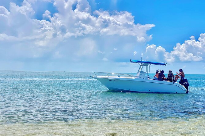 Island Hop Sandbar Adventure - Sandbar time: the relaxed center of the outing