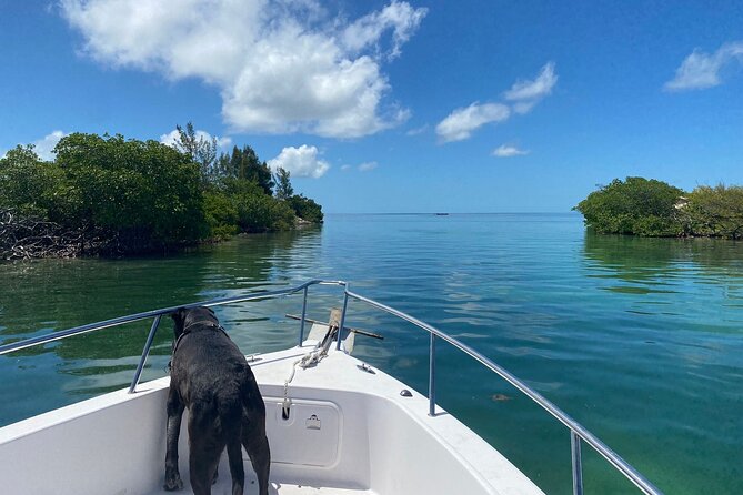 Island Hop Sandbar Adventure - What the captains add to the experience