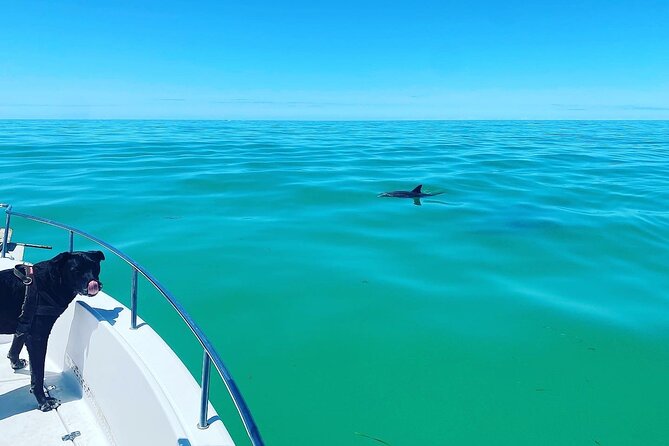 Island Hop Sandbar Adventure - Weather, cancellation, and practical limits