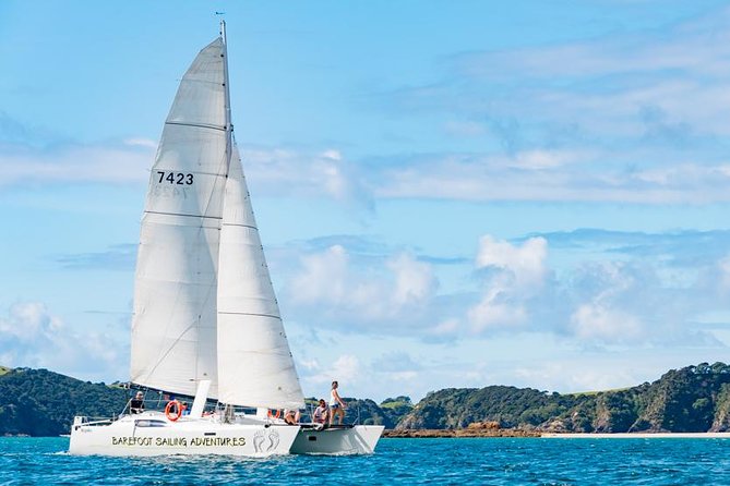 Island Hopper Day Cruise - sailing to wildlife sanctuary island - 6 hr cruise - Key points to know before booking