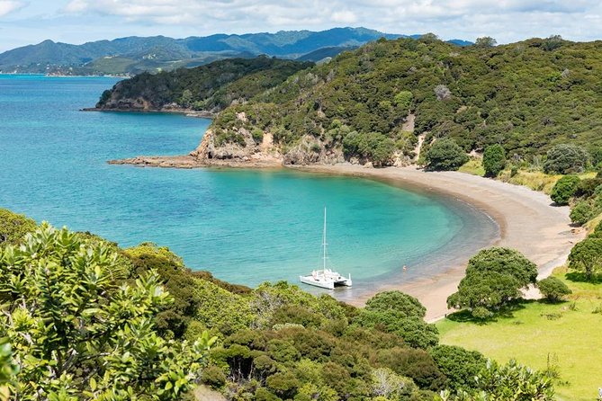 Island Hopper Day Cruise - sailing to wildlife sanctuary island - 6 hr cruise - Setting out from Paihia at 10 a.m.