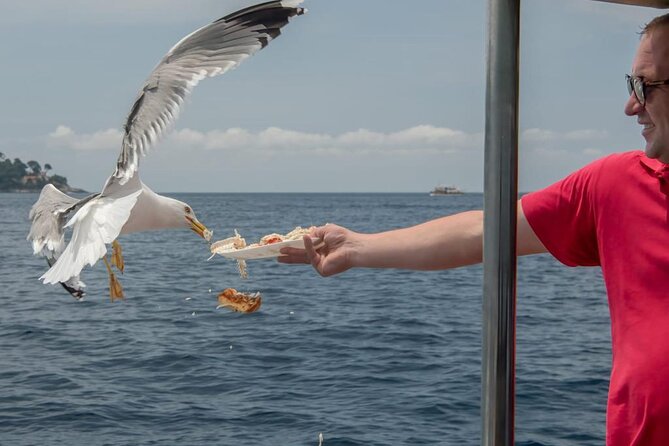Island Hopping & City Walls Cruise with Food and Open Bar - Who will enjoy this trip most