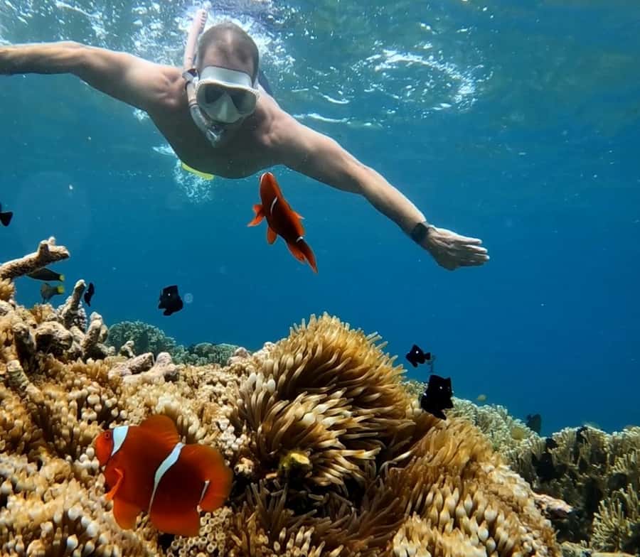 Island Hopping Gili Asahan, Gede, Rengit, Layar & Goleng - Gili Goleng is for swimming and empty beaches