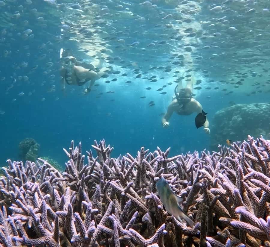 Island Hopping Gili Asahan, Gede, Rengit, Layar & Goleng - What to pack for nine hours outside