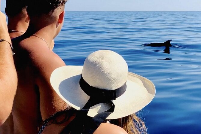 Island-Hopping, Swimming & Snorkeling SpeedBoat Tour from Zadar - Galevac is the longest island experience