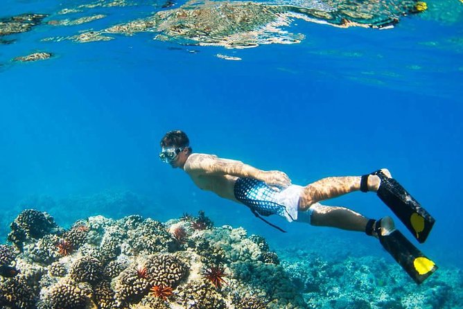 Island Hopping Tour (2 Island) From Kota Kinabalu - Snorkeling conditions and what you may see