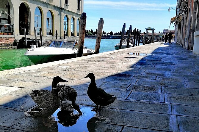 Island Hopping Tour: Mazzorbo, Burano and Murano - Mazzorbo and the Tenuta Venissa vineyard