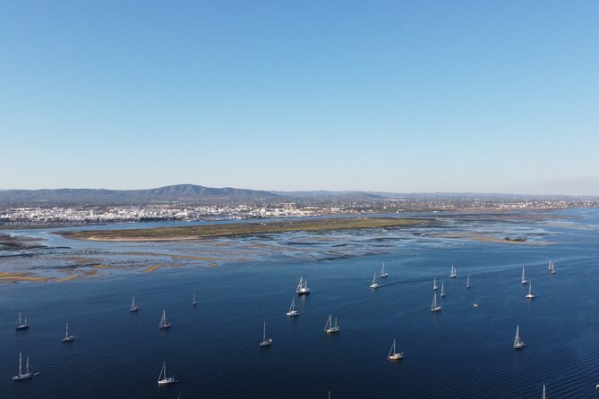 Islands Tour: Half Day Cruise in Ria Formosa Natural Park - Is $30.17 good value?