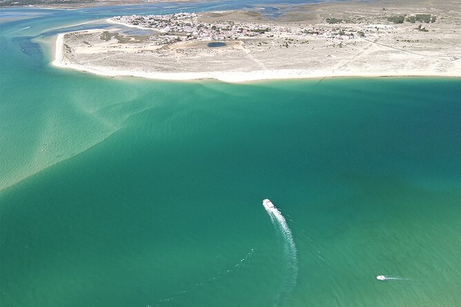 Islands Tour: Half Day Cruise in Ria Formosa Natural Park - Who should book this experience?