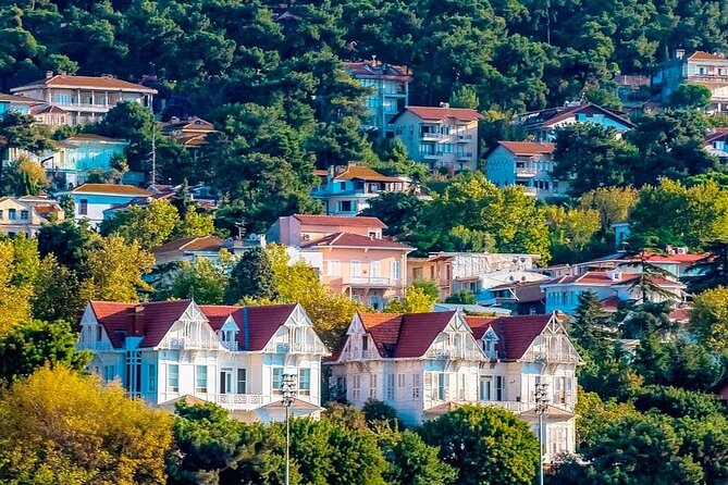 Istanbul Full Day Princess Islands Tour with Lunch - Why the Princes’ Islands make a good Istanbul break