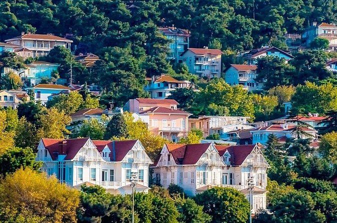 Istanbul Full Day Princess Islands Tour with Lunch - What the guide and group setup mean for you