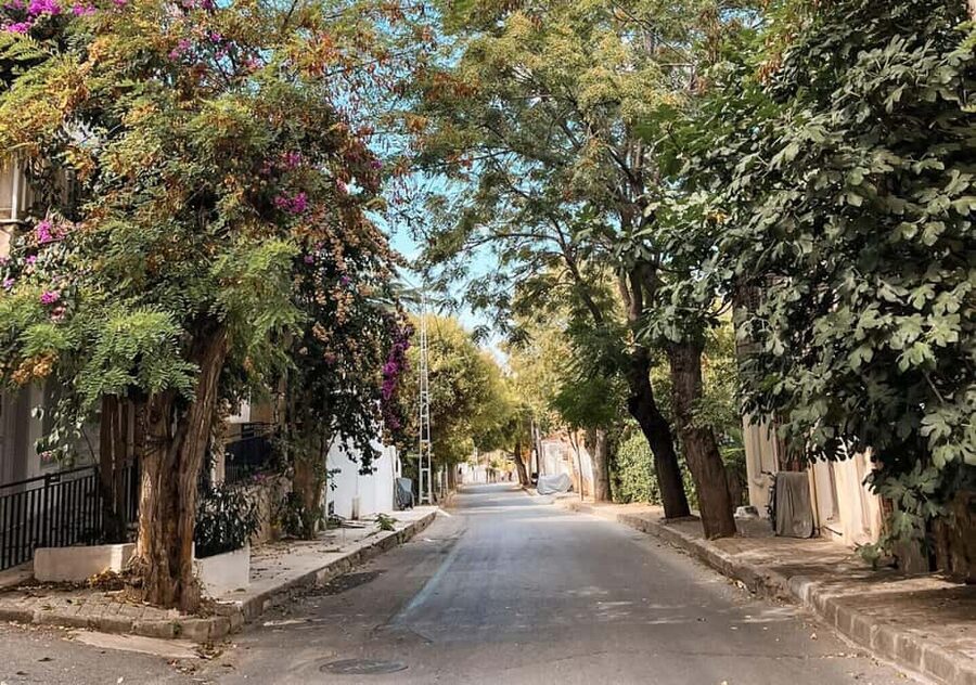 Istanbul: Prince islands Tour w/ Lunch and transfer options - Why the Princes’ Islands make a good break from Istanbul