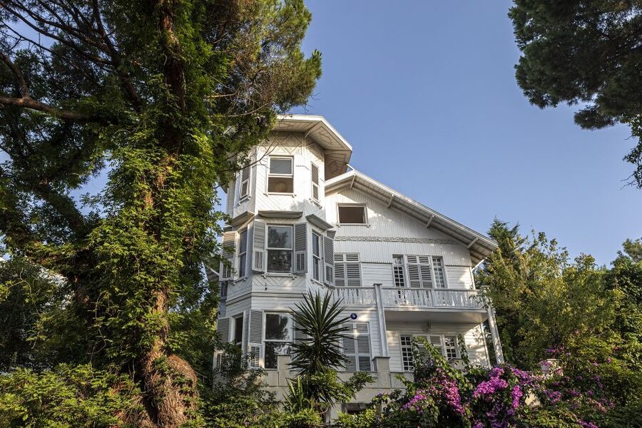 Istanbul: Princes' Islands Cruise w/Music, Lunch & Transfer - Swimming and quiet shore time