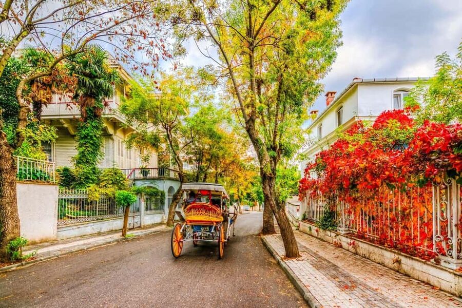 Istanbul: Princes' Islands Cruise with Lunch and Guide - Why the Princes’ Islands make a good escape from Istanbul