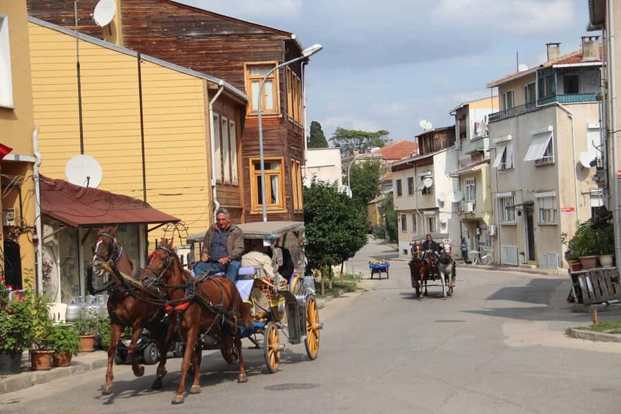 Istanbul: Princes' Islands Cruise with Lunch and Guide - Lunch on board and the mood of the cruise