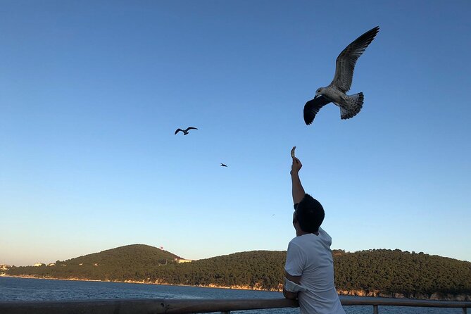 Istanbul: Princes Islands Tour with Heybeliada and Buyukada - Heybeliada: green paths and a short first look