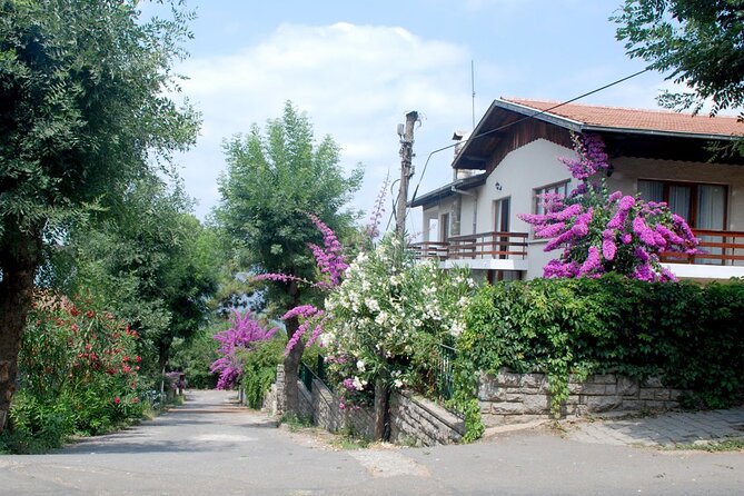 Istanbul: Princes Islands Tour with Heybeliada and Buyukada - Büyükada: mansions, cafés, and three hours of choice