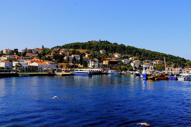 Istanbul: Princes Islands Tour with Heybeliada and Buyukada - Lunch on board and swimming in summer