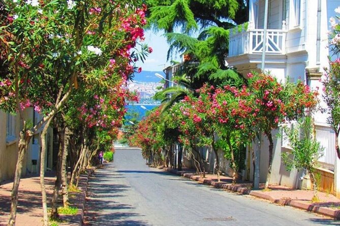 Istanbul: Princes Islands Tour with Heybeliada and Buyukada - How the $18 price holds up