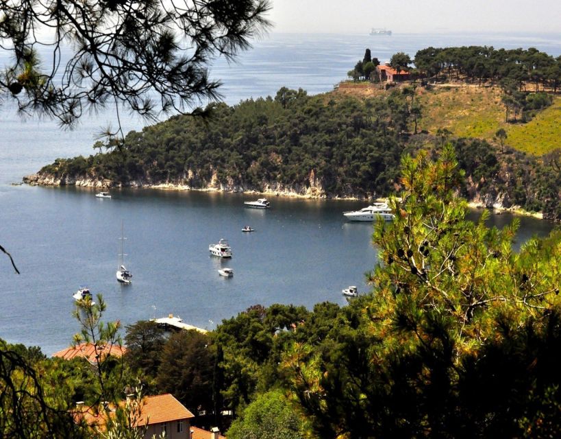 Istanbul: Princes' Islands Tour with Lunch and Transfers - Should you book it?