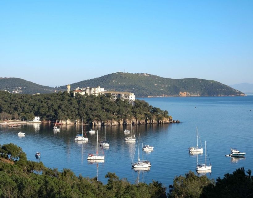Istanbul: Princes' Islands Tour with Lunch and Transfers - Is $29 good value?