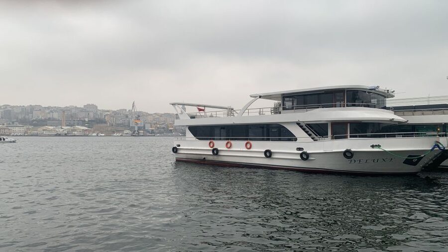 Istanbul: Princes' Islands Tour with Lunch and Transfers - Who should book this Princes’ Islands day trip?