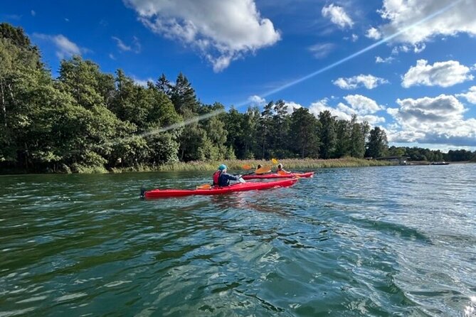 Kayak Tour in the Stockholm Archipelago with Lunch Meal - Wildlife sightings depend on patience and luck
