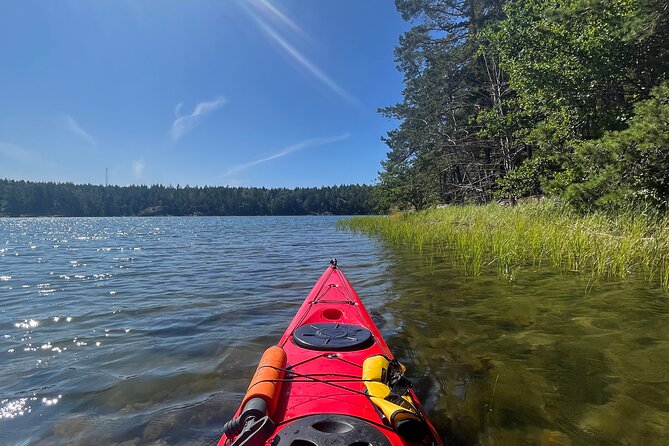 Kayak Tour in the Stockholm Archipelago with Lunch Meal - A Baltic swim followed by Swedish fika
