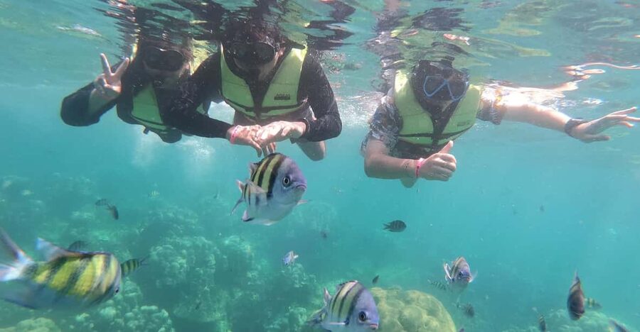 Ko Lanta: 4 Islands and Emerald Cave Day Tour by Speedboat - Who should book this day out