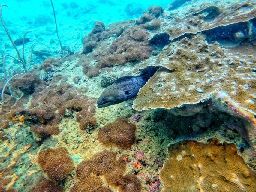 Ko Lanta: 4 Islands Snorkeling Tour by Longtail Boat - Key points to know before you book