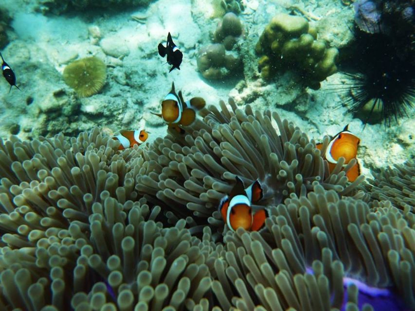 Ko Lanta: 4 Islands Snorkeling Tour by Longtail Boat - Ko Chueak, where the first fish appear