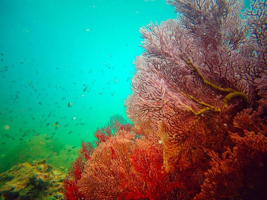 Ko Lanta: 4 Islands Snorkeling Tour by Longtail Boat - Ko Maa and the changing order of the stops
