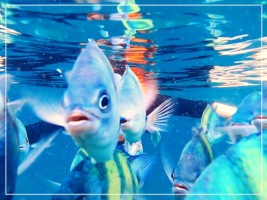 Ko Lanta: 4 Islands Snorkeling Tour by Longtail Boat - Koh Ngai, lunch, and the best time to rest