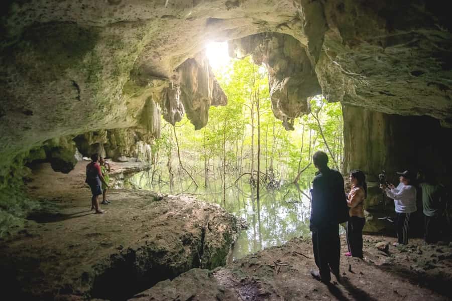 Ko Lanta: Full-Day Mangrove Kayaking 2Islands 2Caves 2 Kayak - Kayaking through the mangrove forest