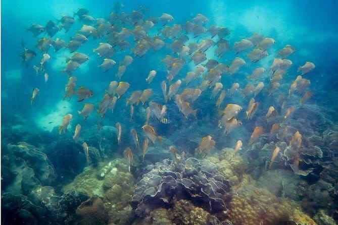 Ko Samet: 5 or 6 Islands Snorkeling Tour with Lunch Option - Koh Kudi: Clear Water and a Gentle Start