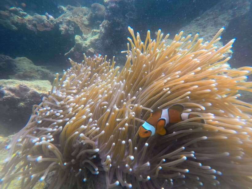 Koh Lanta: 4-Island Adventure Tour to Emerald Cave - Weather, Water Clarity, and Comfort