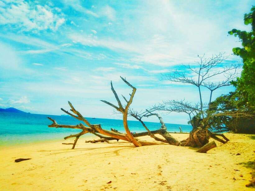 Koh Lanta: 4 Islands and Emerald Cave Snorkeling Trip - Key points at a glance
