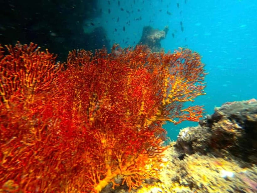 Koh Lanta: 4 Islands and Emerald Cave Snorkeling Trip - Koh Ngai and the first clear-water snorkel