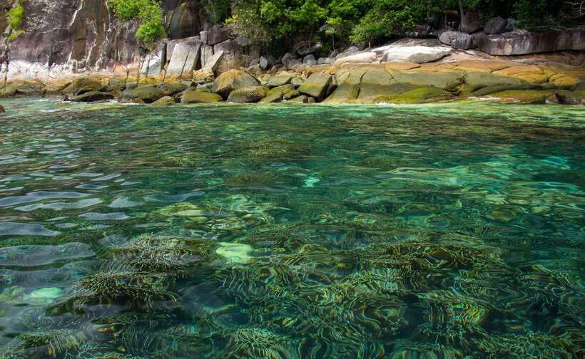 Koh Lipe: 5 Island Snorkeling Trip by Longtail Boat w/ Lunch - What to pack for a better day