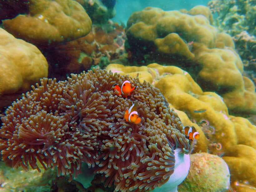 Koh Lipe: 5 Island Snorkeling Trip by Longtail Boat w/ Lunch - Hin Ngam’s black volcanic pebble beach